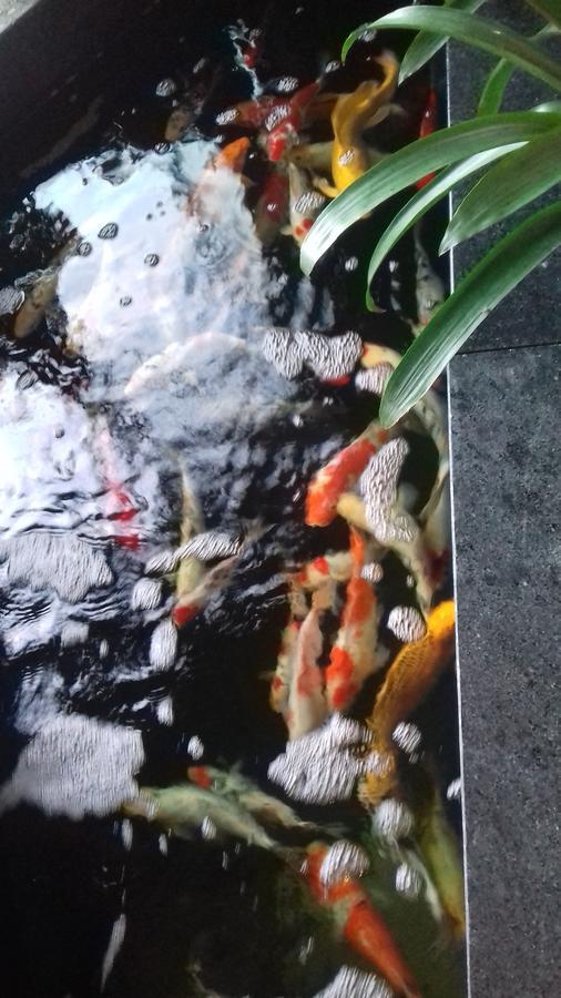 Khách Sạn Hiệp Yến Tuy Hoa Esterno foto
